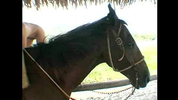 HD Ебля во время езды на лошади всего видео