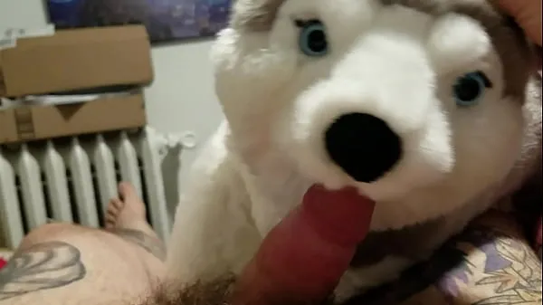 HD Oral sex with stuffed husky and rubbing one out całkowity kanał