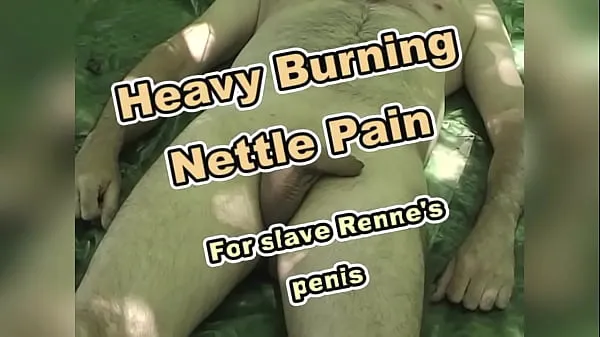 HD Stinging Nettles in- and outside Renne's cock إجمالي الأنبوب